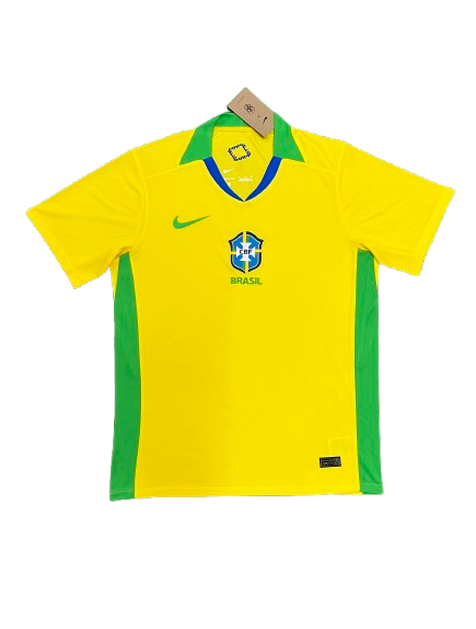 ברזיל 2025 בית