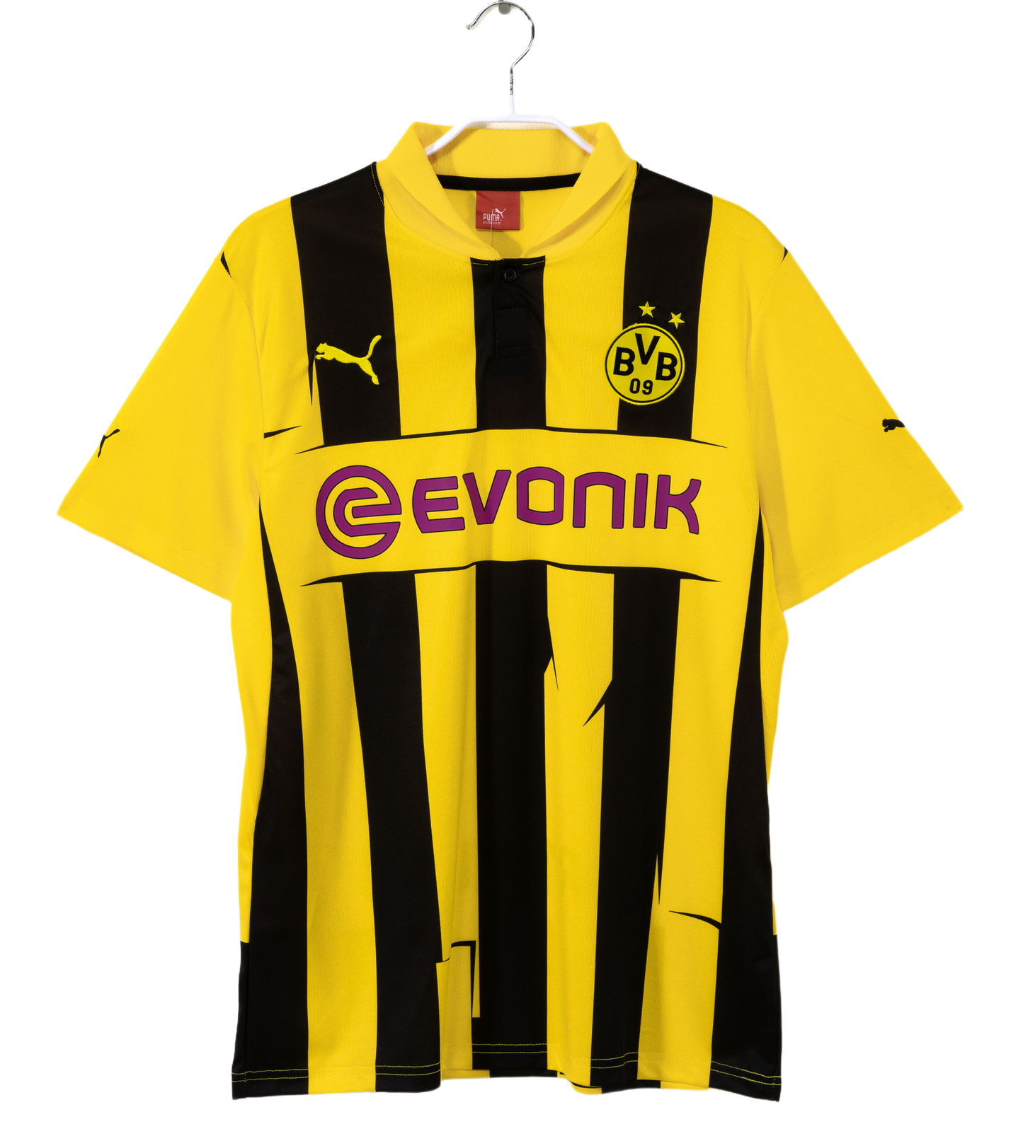 דורטמונד 2012/13 בית