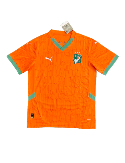 חוף השנהב 2025 בית