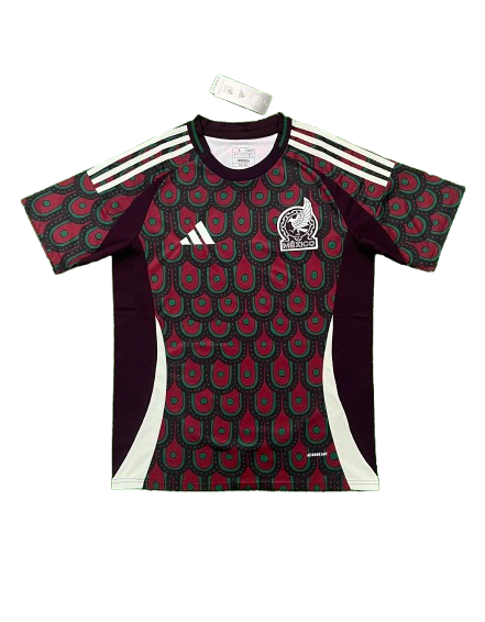 מקסיקו 2024 בית