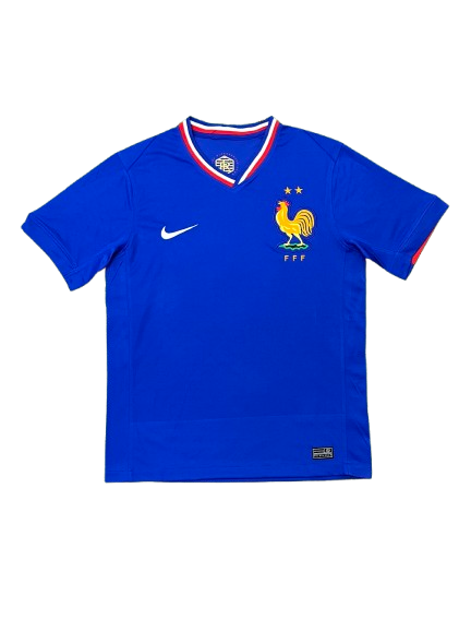 צרפת 2024 בית